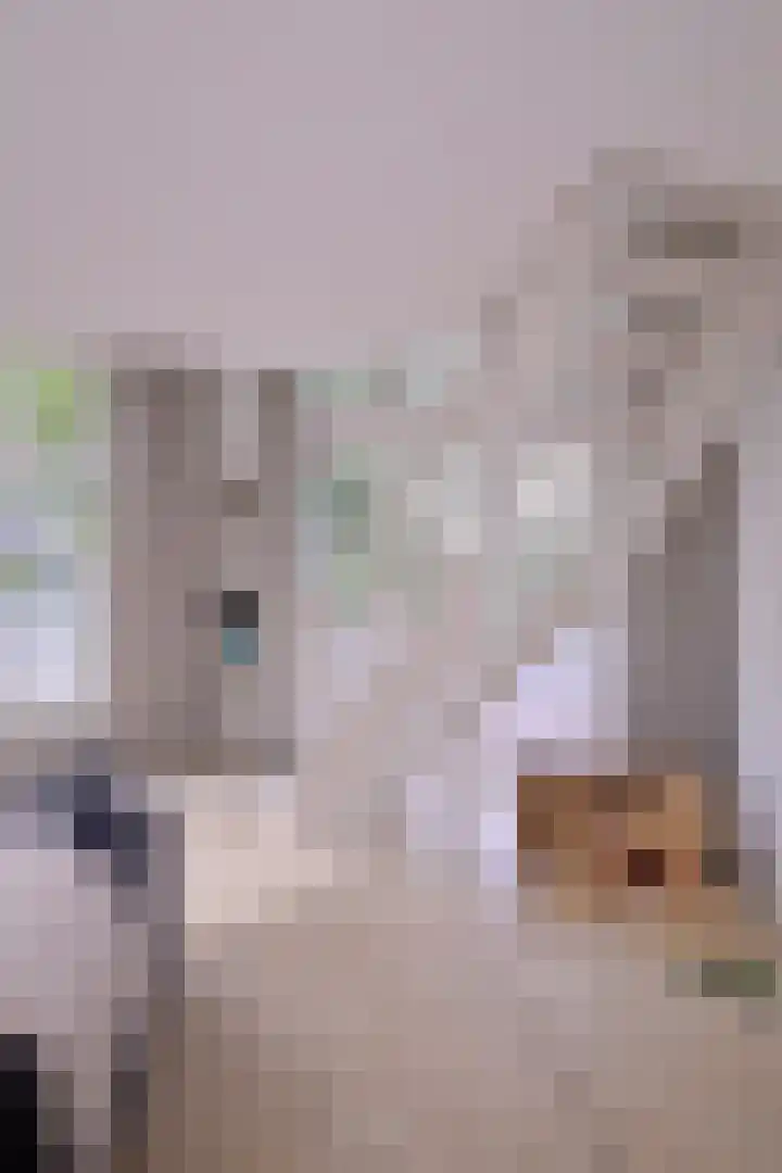 Arnhemsestraat 23 Brummen thumbnail 15