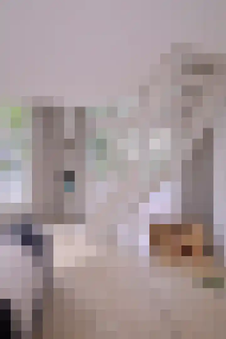 Arnhemsestraat 23 Brummen thumbnail 22