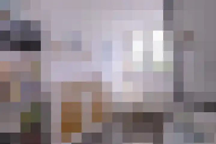 Arnhemsestraat 23 Brummen thumbnail 29