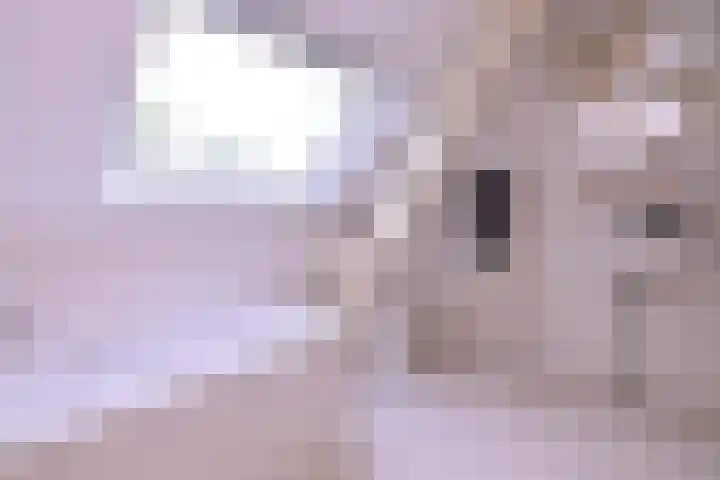 Arnhemsestraat 23 Brummen thumbnail 38
