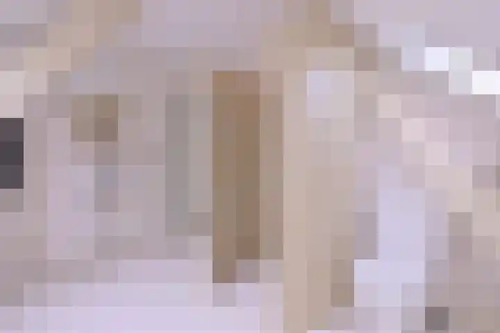 Arnhemsestraat 23 Brummen thumbnail 39