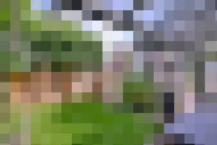 Arnhemsestraat 23 Brummen thumbnail 4