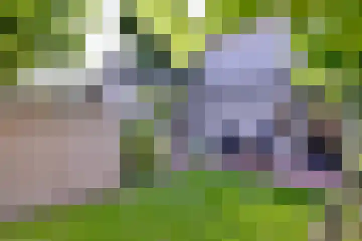 Arnhemsestraat 23 Brummen thumbnail 41