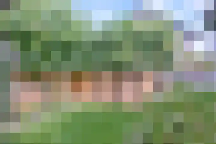 Arnhemsestraat 23 Brummen thumbnail 44