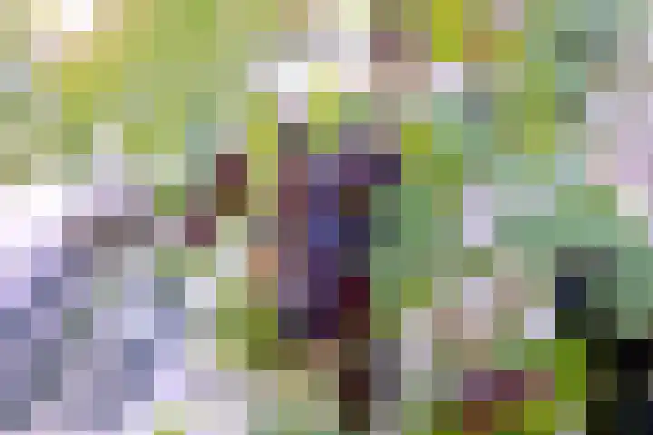Arnhemsestraat 23 Brummen thumbnail 47