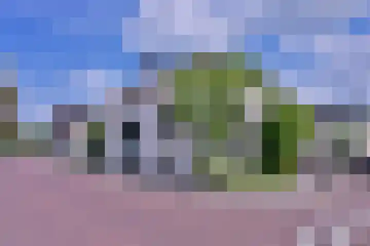 Arnhemsestraat 23 Brummen thumbnail 5