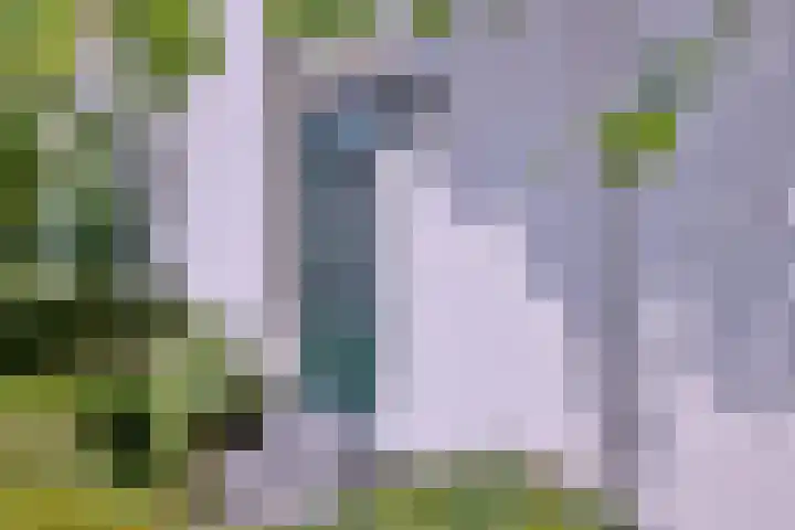 Arnhemsestraat 23 Brummen thumbnail 51