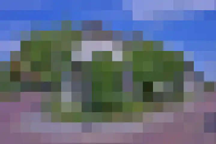 Arnhemsestraat 23 Brummen thumbnail 52