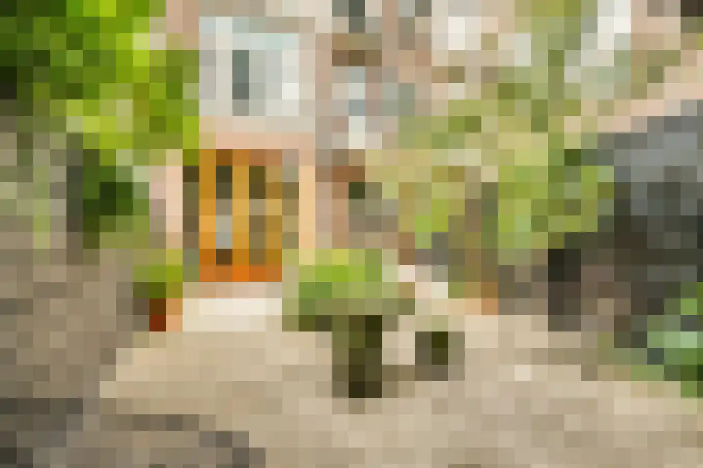 Arnhemsestraat 31 A Den Haag thumbnail 29