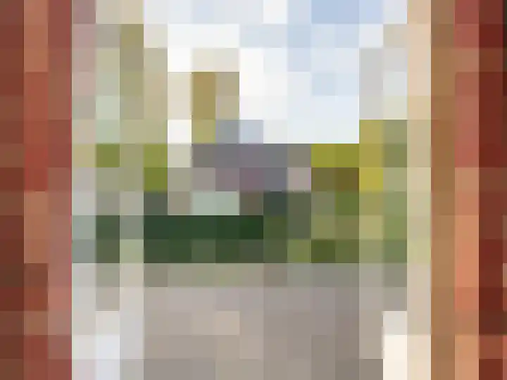 Arnhemsestraat 32 Brummen thumbnail 31