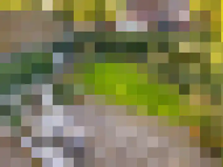 Arnhemsestraat 32 Brummen thumbnail 33