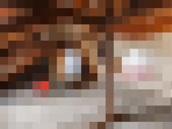 Arnhemsestraat 32 Brummen thumbnail 40