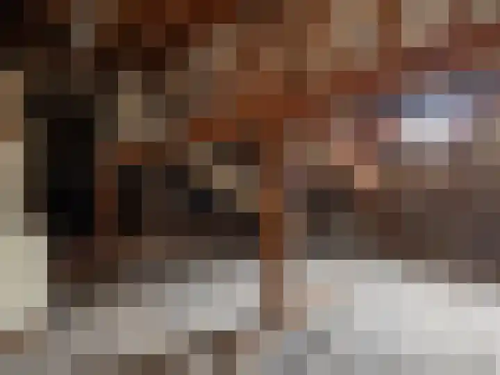 Arnhemsestraat 32 Brummen thumbnail 41