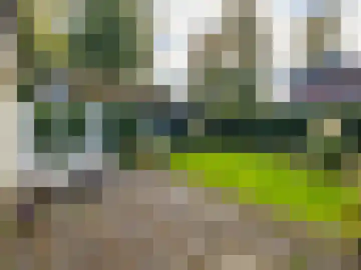 Arnhemsestraat 32 Brummen thumbnail 45