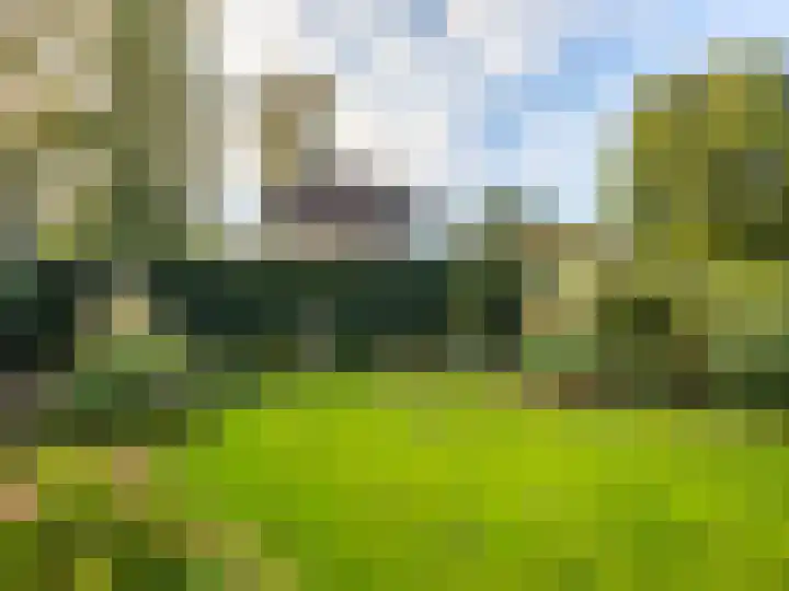 Arnhemsestraat 32 Brummen thumbnail 46