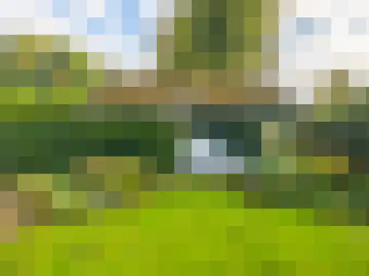 Arnhemsestraat 32 Brummen thumbnail 49
