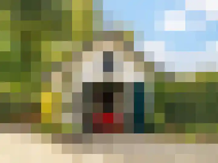 Arnhemsestraat 32 Brummen thumbnail 51