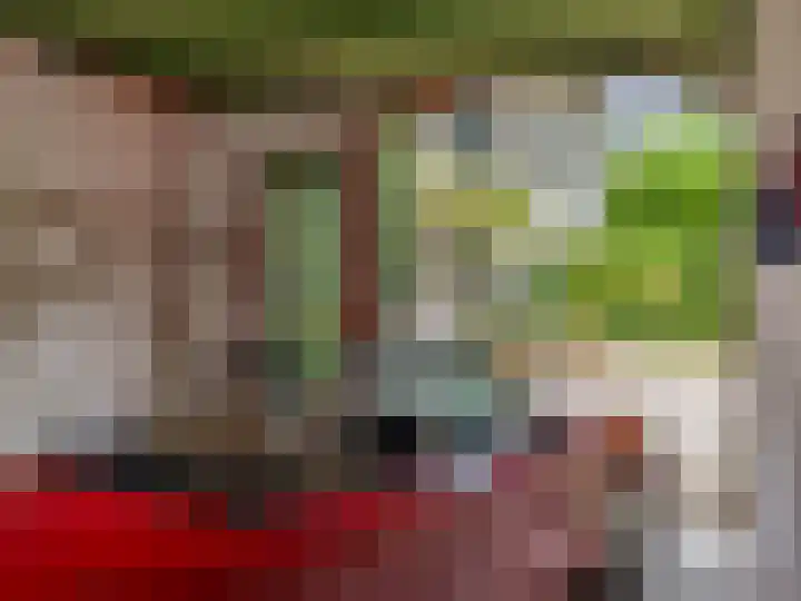 Arnhemsestraat 32 Brummen thumbnail 52