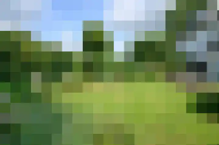 Arnhemsestraat 32 Brummen thumbnail 65