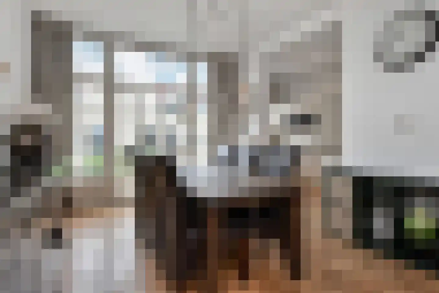 Arnhemsestraat 45 Den Haag thumbnail 21