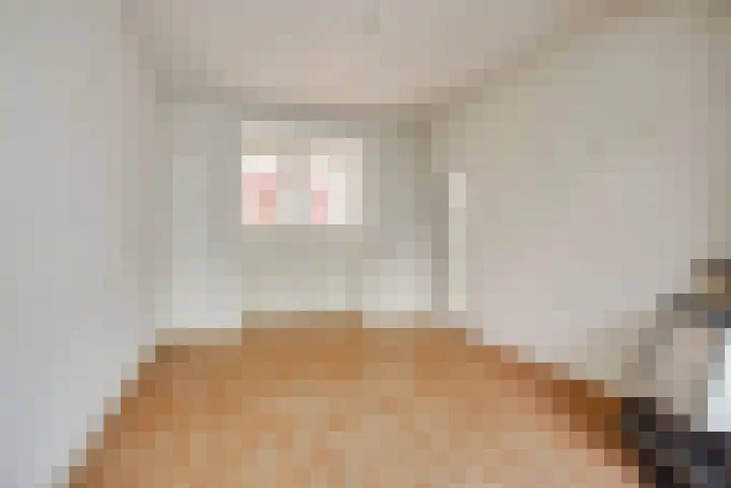 Arnhemsestraat 60 Den Haag thumbnail 17