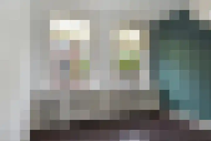 Arnhemsestraat 76 Den Haag thumbnail 9