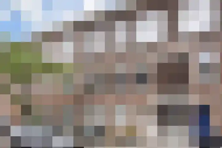 Arnhemsestraat 76 Den Haag thumbnail 5