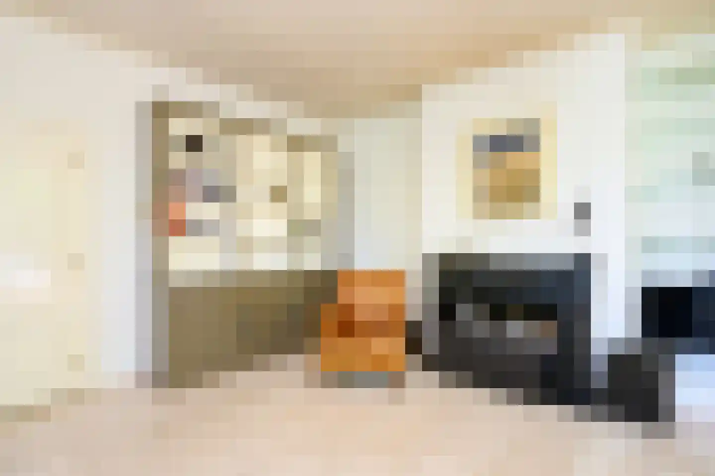 Arnhemsestraat 81 Leuvenheim thumbnail 11