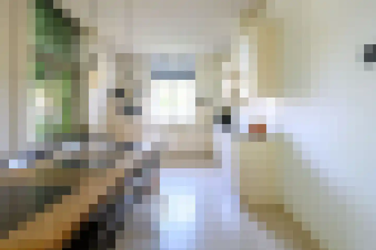 Arnhemsestraat 81 Leuvenheim thumbnail 12