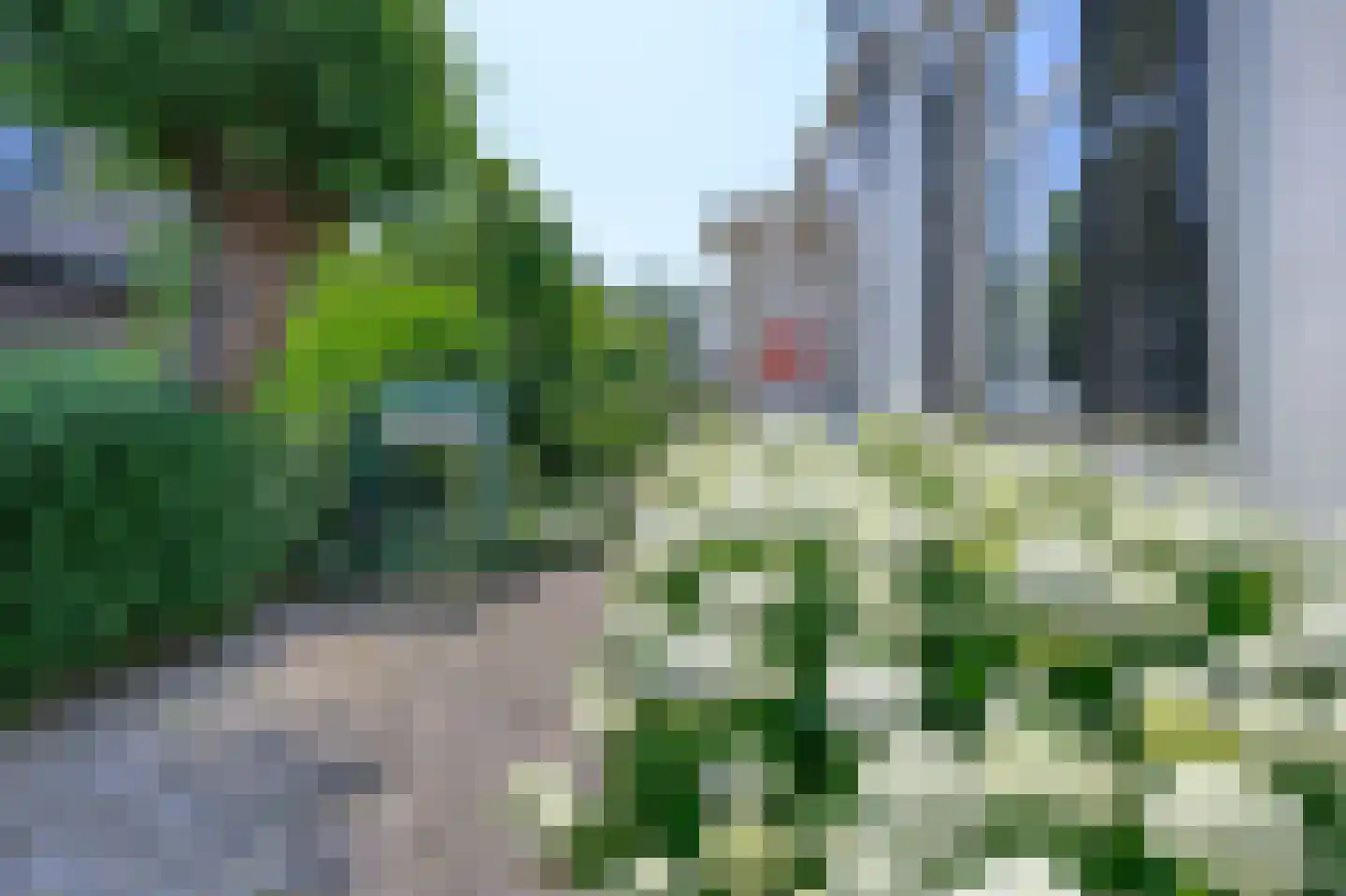 Arnhemsestraat 81 Leuvenheim thumbnail 35