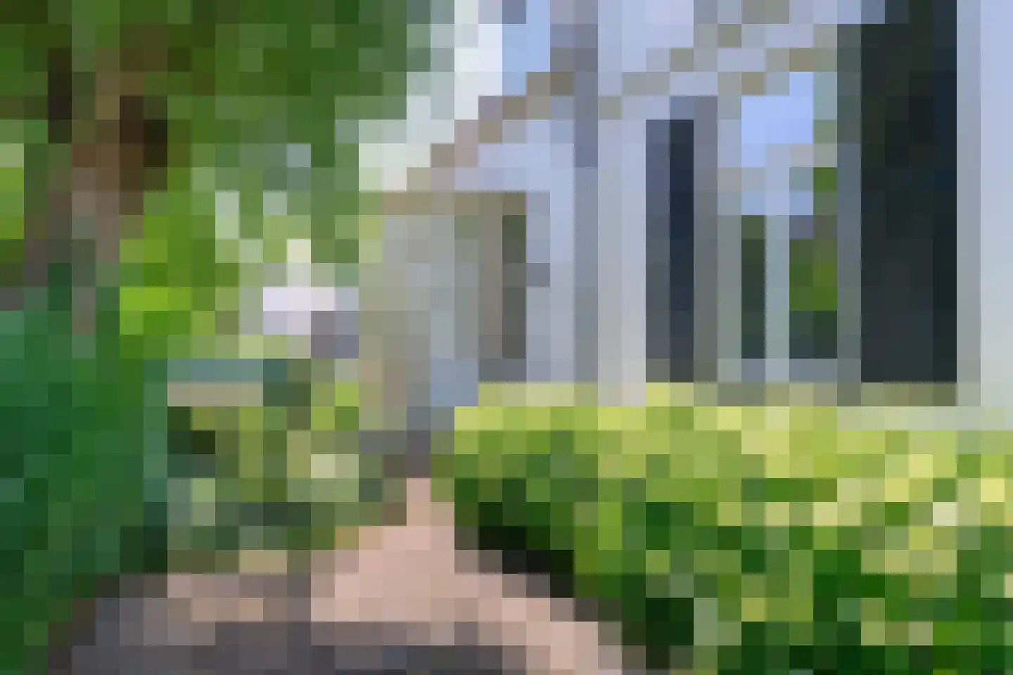 Arnhemsestraat 81 Leuvenheim thumbnail 37