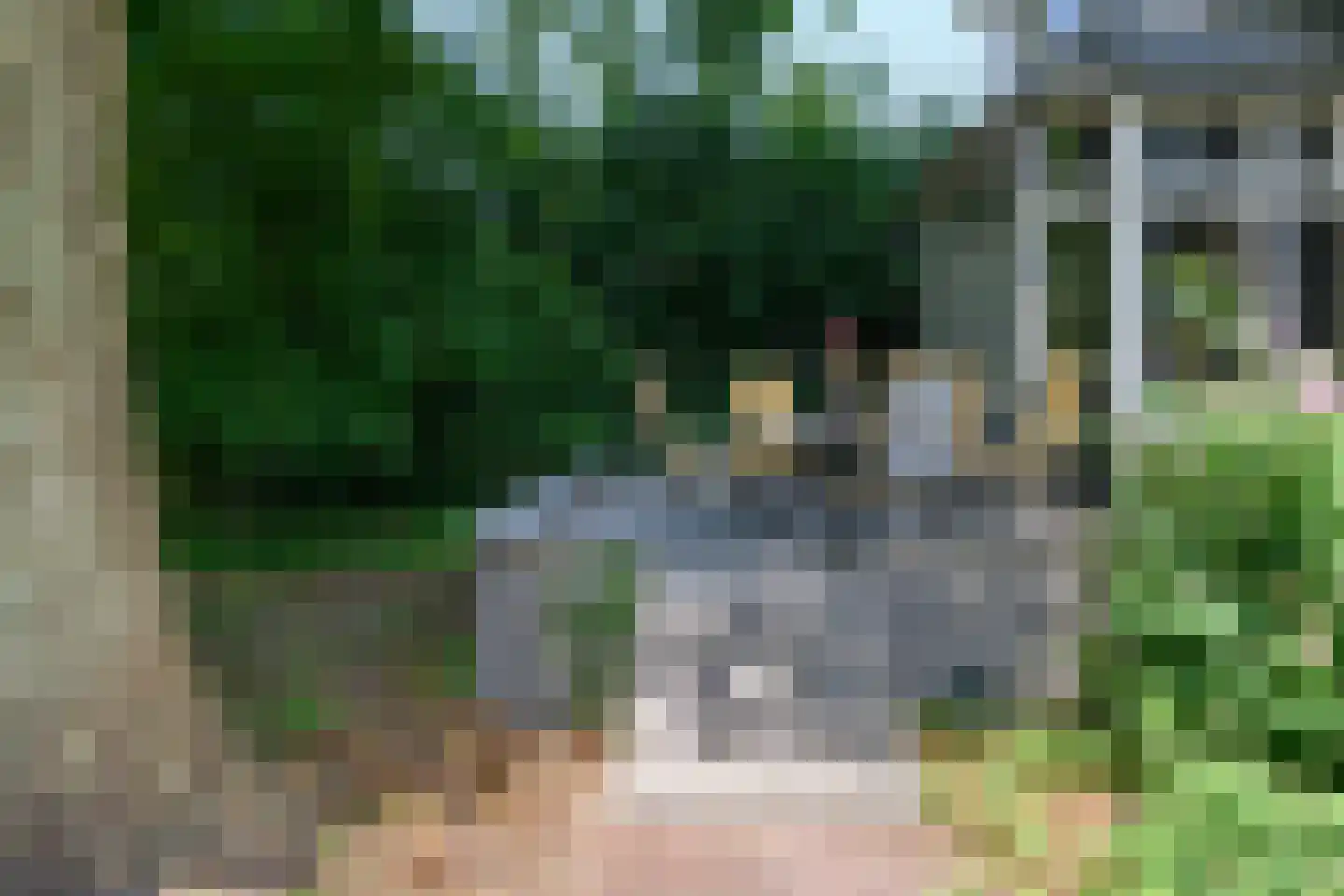 Arnhemsestraat 81 Leuvenheim thumbnail 38