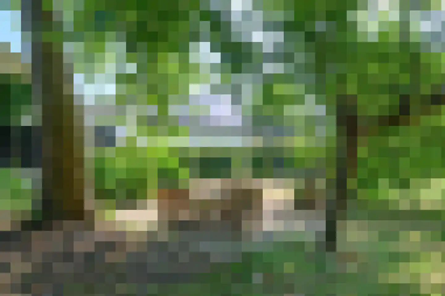 Arnhemsestraat 81 Leuvenheim thumbnail 38