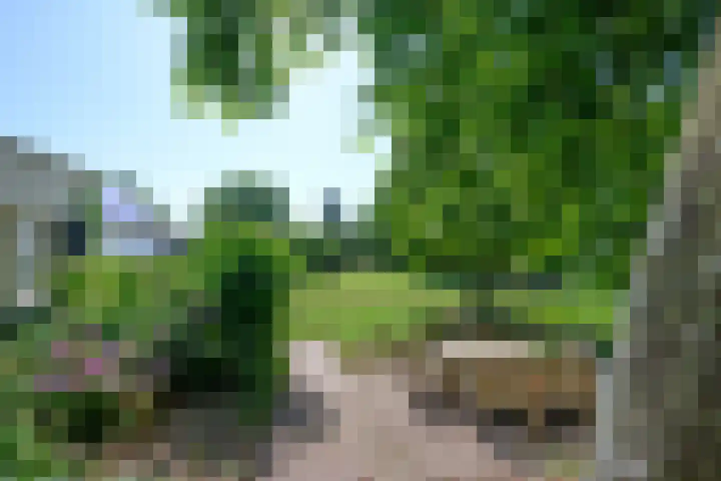 Arnhemsestraat 81 Leuvenheim thumbnail 4