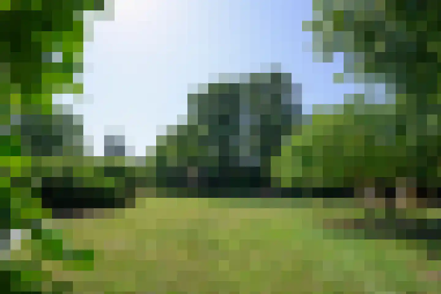 Arnhemsestraat 81 Leuvenheim thumbnail 5