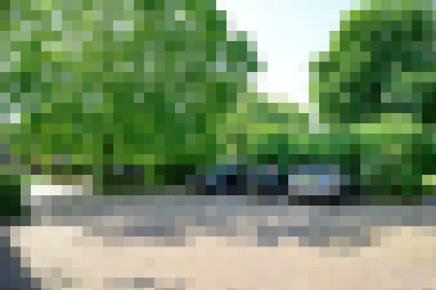 Arnhemsestraat 81 Leuvenheim thumbnail 51