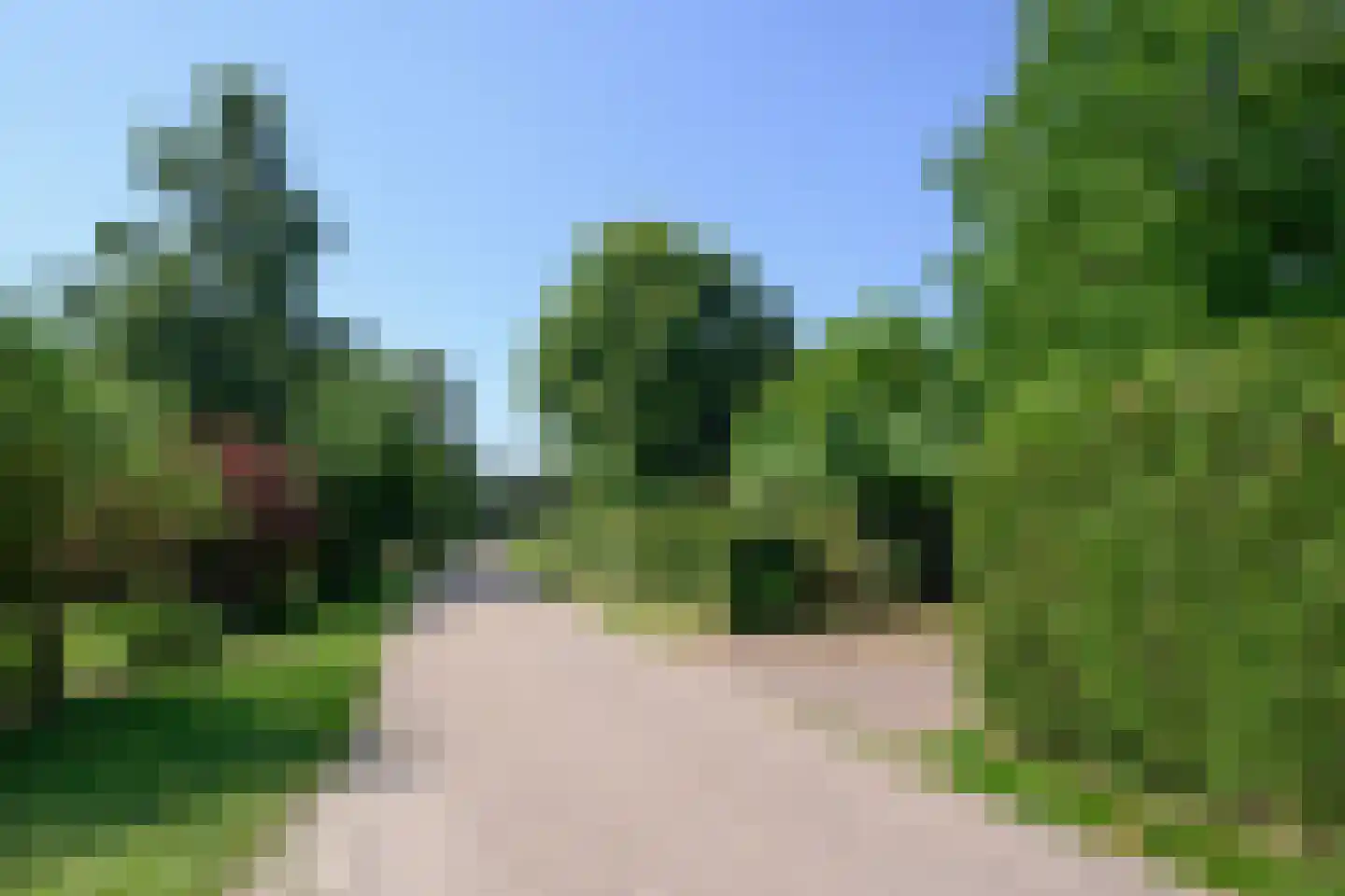 Arnhemsestraat 81 Leuvenheim thumbnail 55