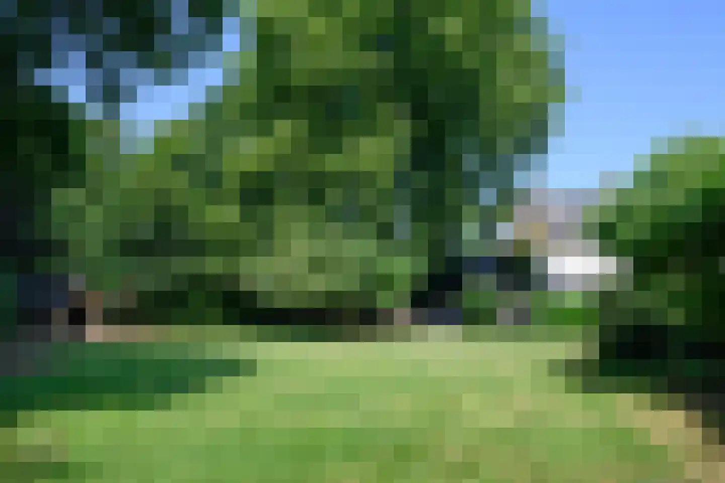 Arnhemsestraat 81 Leuvenheim thumbnail 6