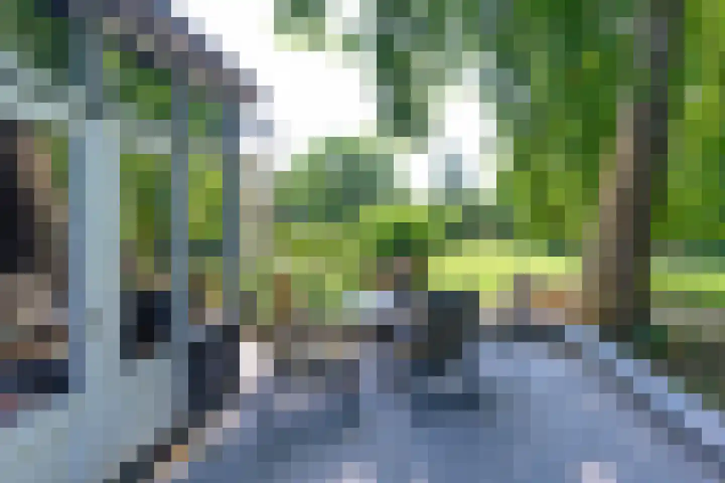 Arnhemsestraat 81 Leuvenheim thumbnail 7
