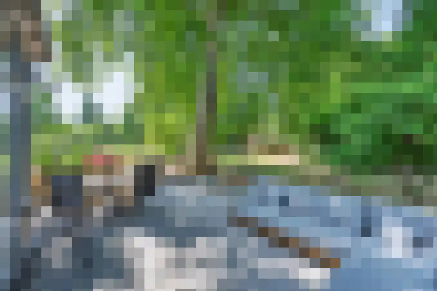 Arnhemsestraat 81 Leuvenheim thumbnail 7