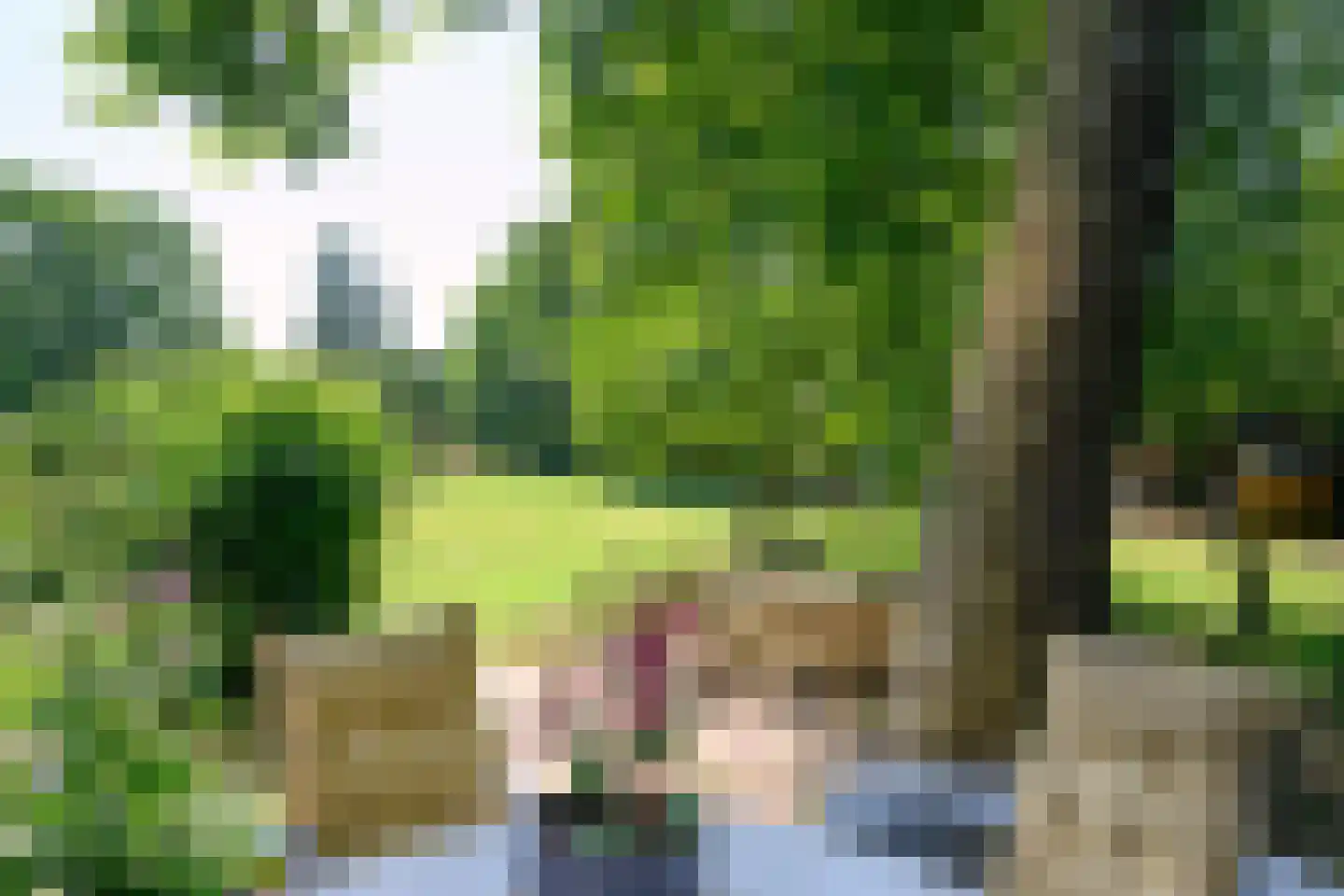 Arnhemsestraat 81 Leuvenheim thumbnail 8