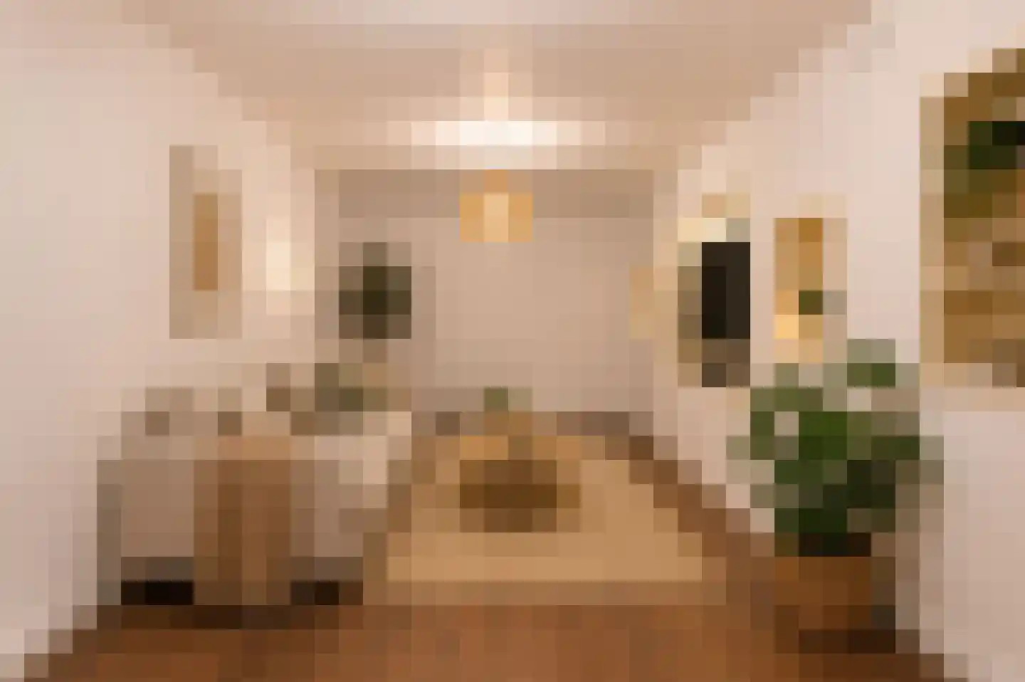 Arnhemsestraat 86 Den Haag thumbnail 41