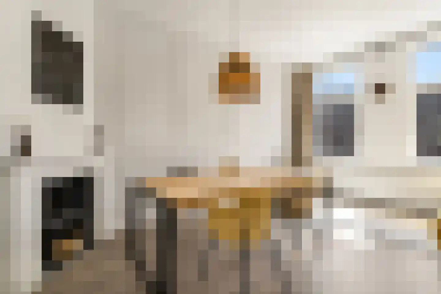 Arnhemsestraat 94 Den Haag thumbnail 14