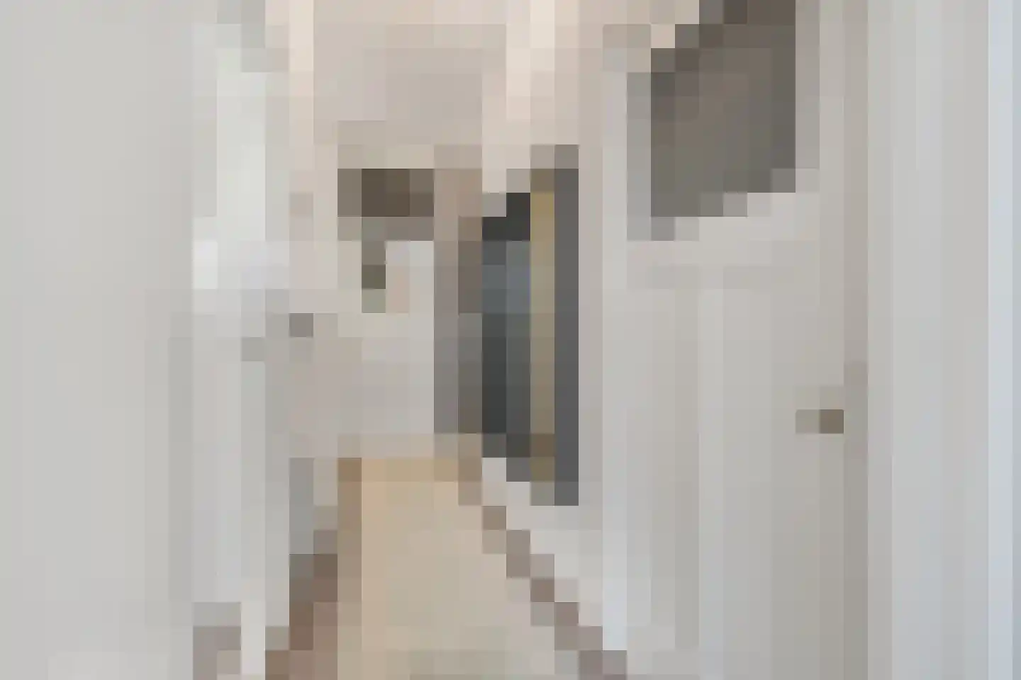 Arnhemsestraat 94 Den Haag thumbnail 22