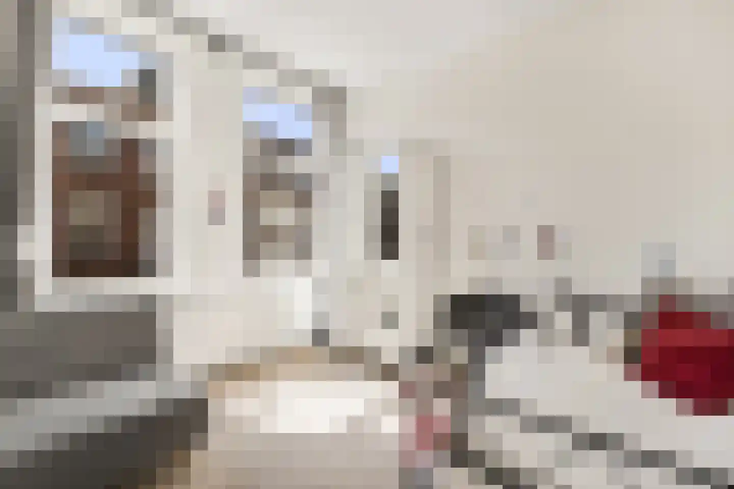 Arnhemsestraat 94 Den Haag thumbnail 23