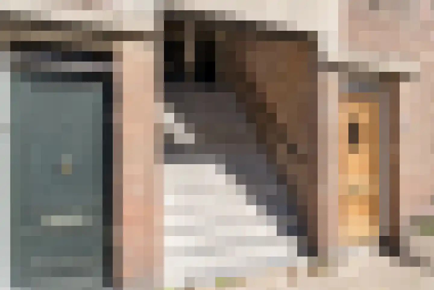 Arnhemsestraat 94 Den Haag thumbnail 8
