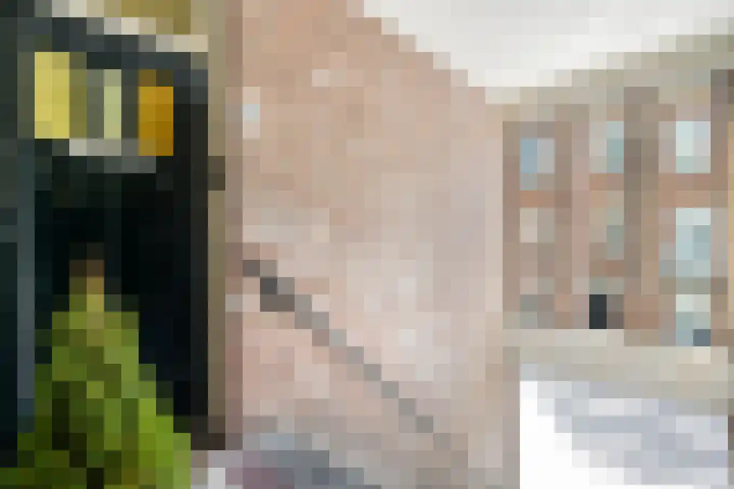 Arnhemsestraat 94 Den Haag thumbnail 9
