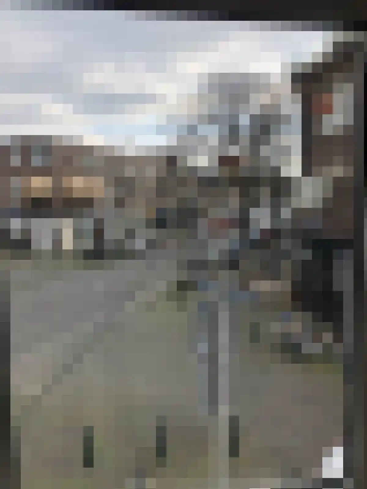 Arnhemsestraat Den Haag foto 3