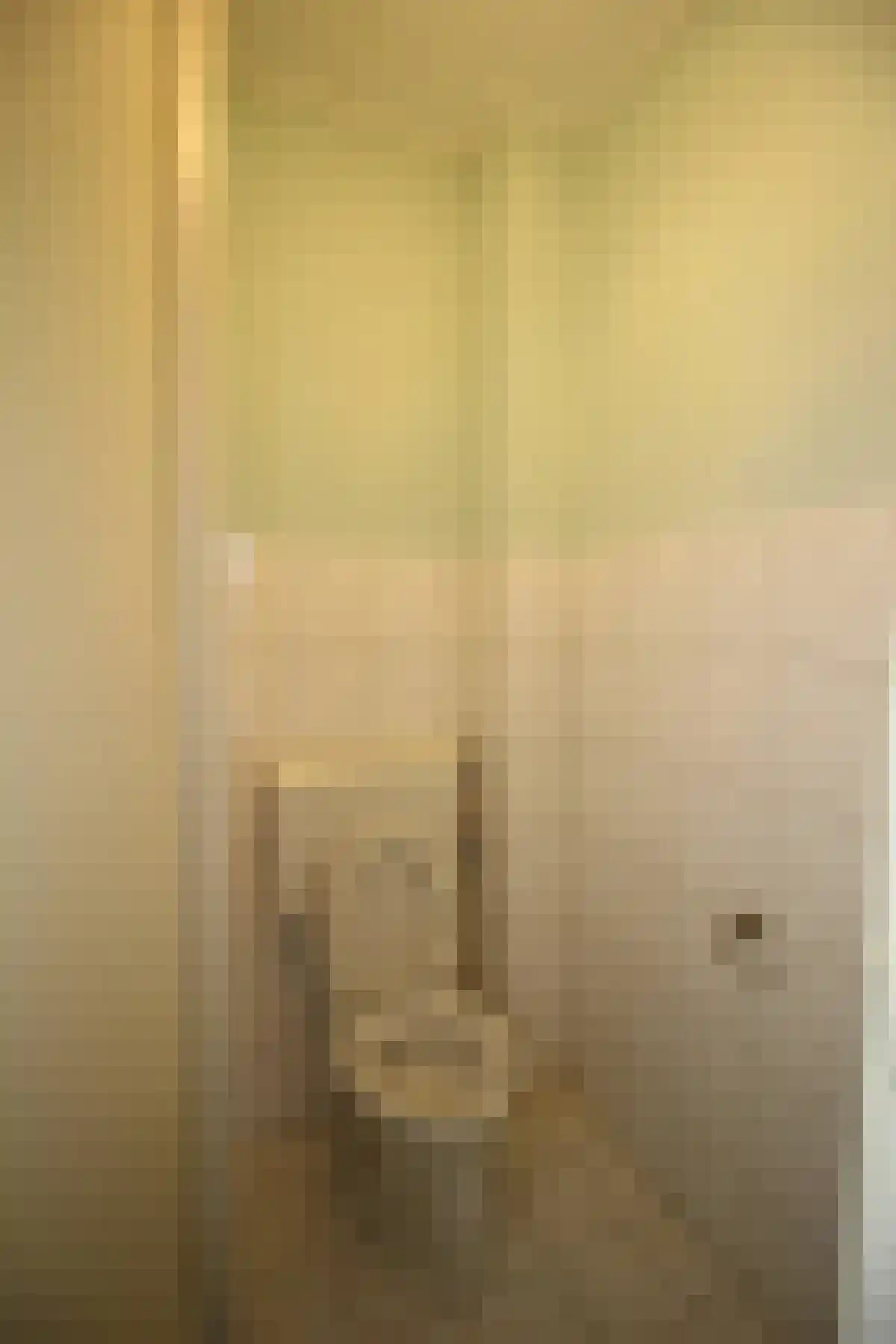 Arnhemsestraat Den Haag thumbnail 5