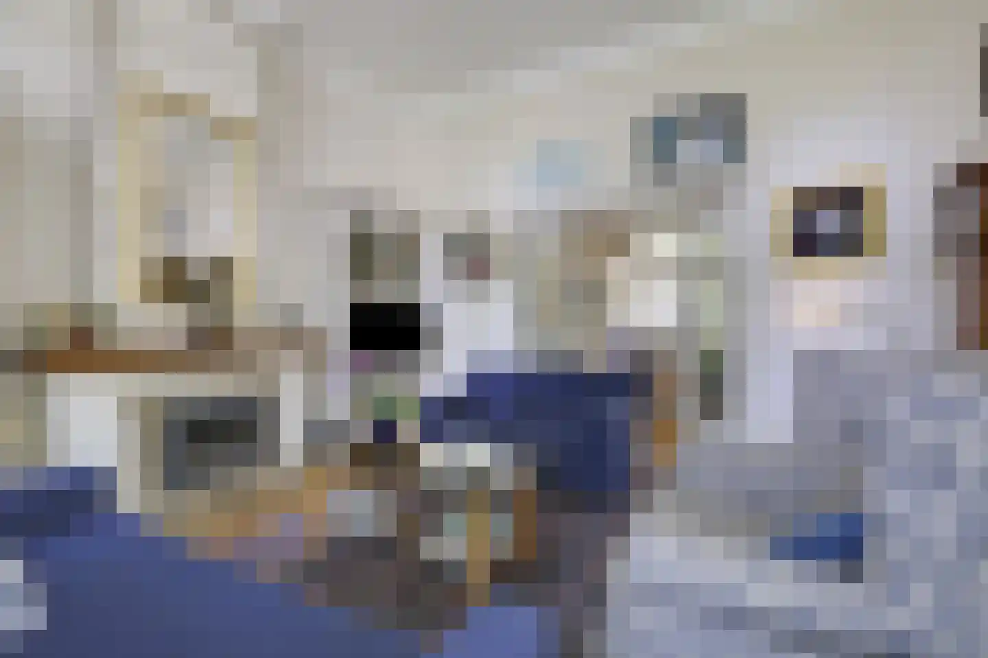 Arnhemsestraatweg 10 Velp thumbnail 15